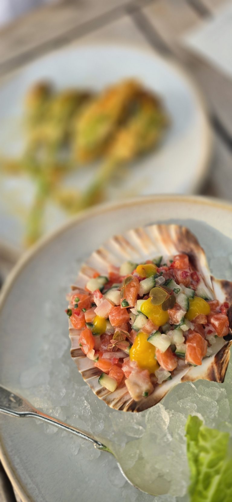 Seafood on ice, a scallop shell filled with colorful ceviche beside a second plate